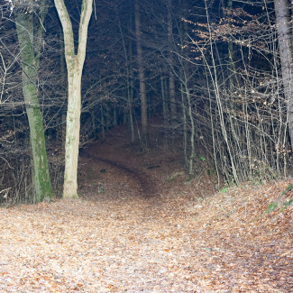 LICHT, LICHT und noch mehr LICHT bei 28W...